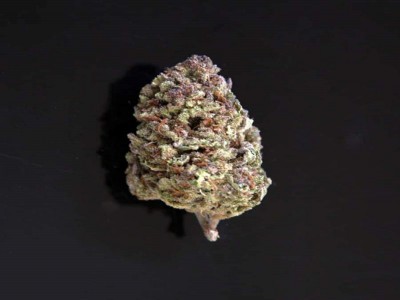 Buy AK-47 Marijuana Strain Online